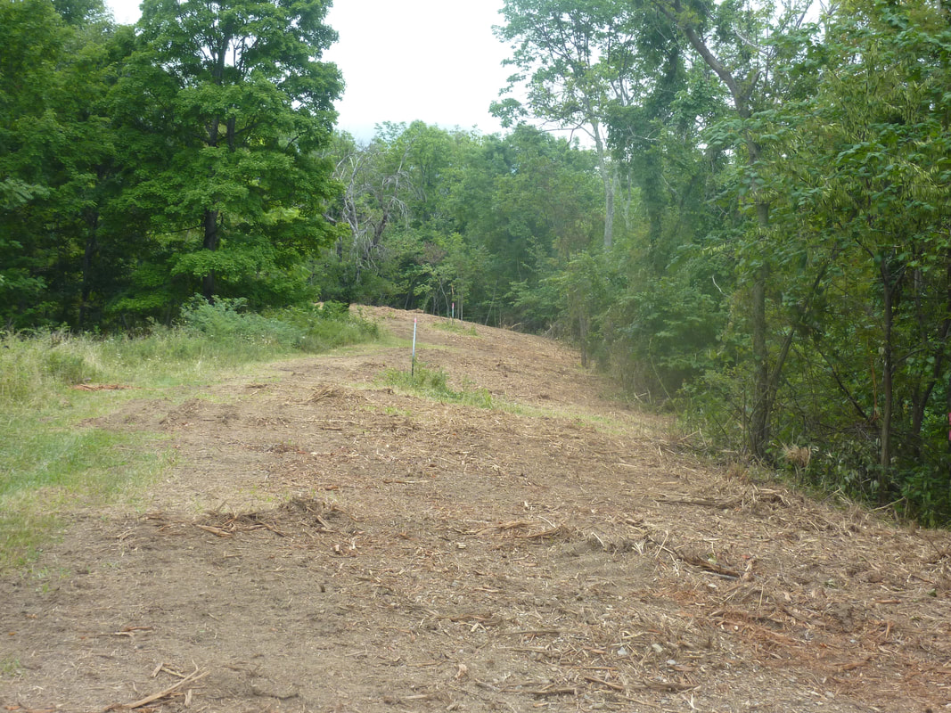 Land Clearing for Utility Companies